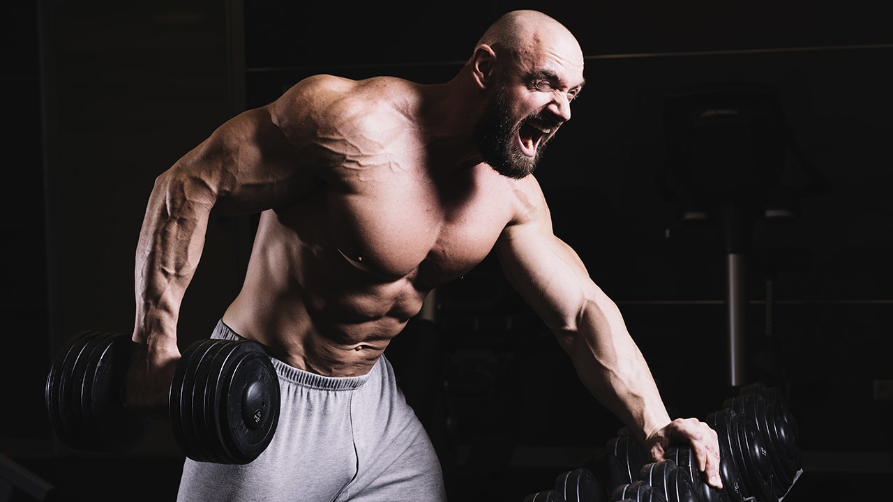 Carga del entrenamiento muscular. Volumen e intensidad.