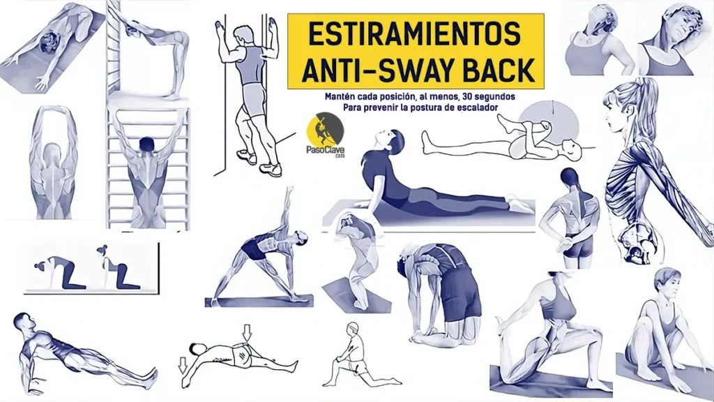 ESTIRAMIENTOS para ESCALADORES: Corregir postura sway back y ...